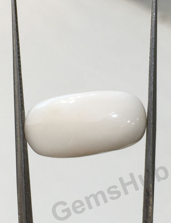 8.82 ct Natural Certified  White Coral/सफ़ेद मूंगा